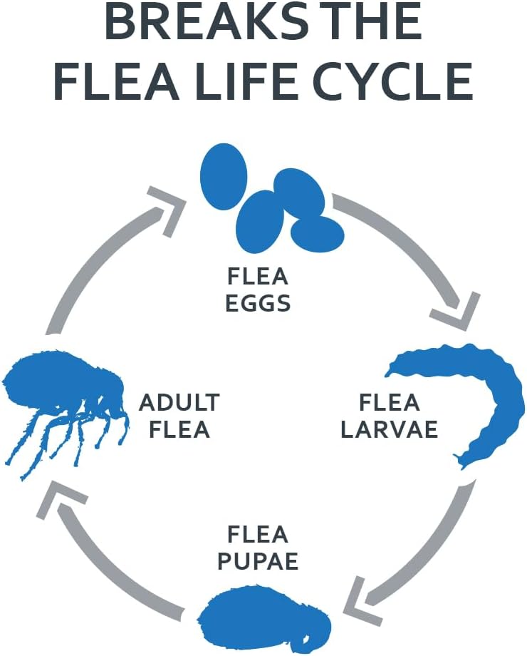 Sentry Fiproguard Flea & Tick Prevention for Cats