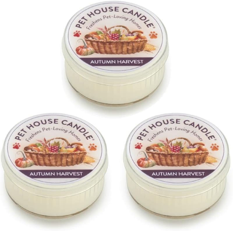 Fireside Mini Candles Plant-Based Wax, 3 Pack Pet House