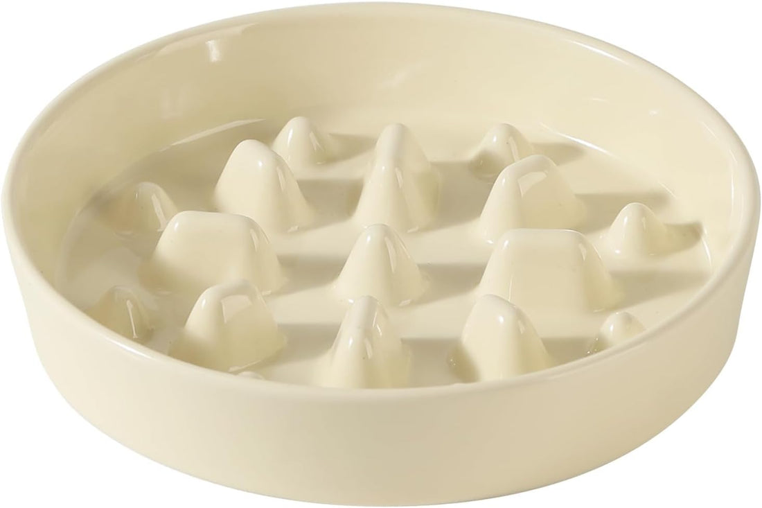 Havniva Elevated Slow Feeder Dog Bowls