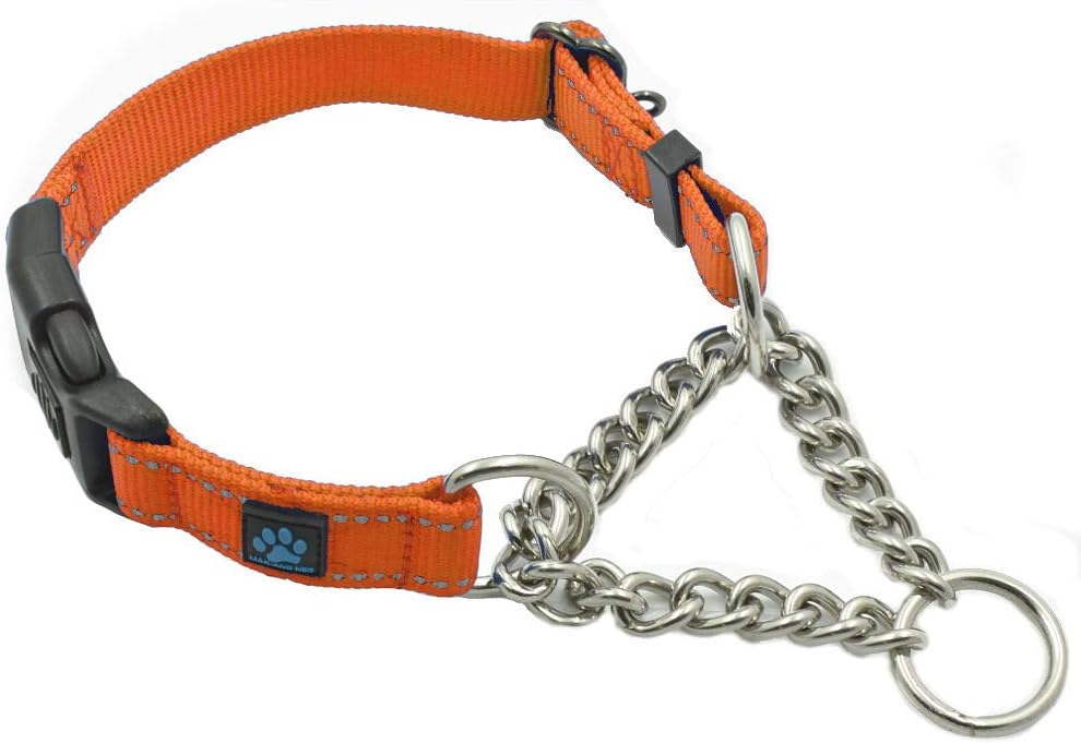Max and Neo Stainless Steel Chain Martingale Collar