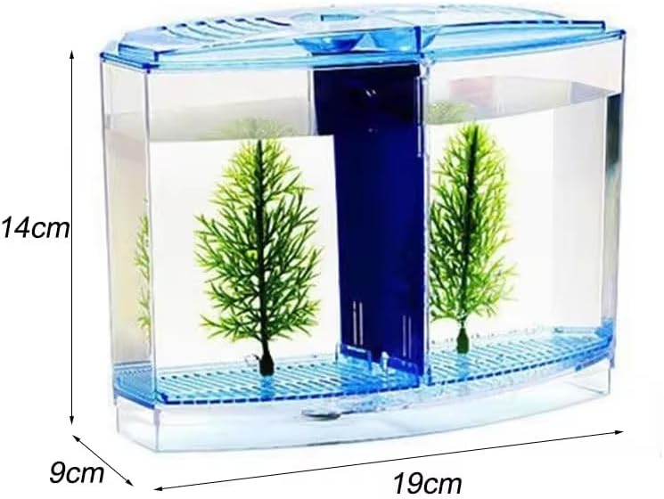 EatingBiting Large Double Compartment Fighting Fish Box Eco Rumble