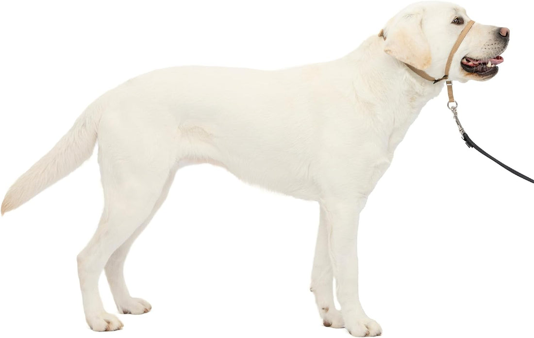 PetSafe Gentle Leader No Pull Dog Headcollar
