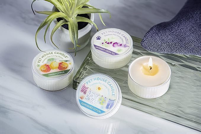 Evergreen Forest Mini Candles Plant-Based Wax, 3 Pack Pet House
