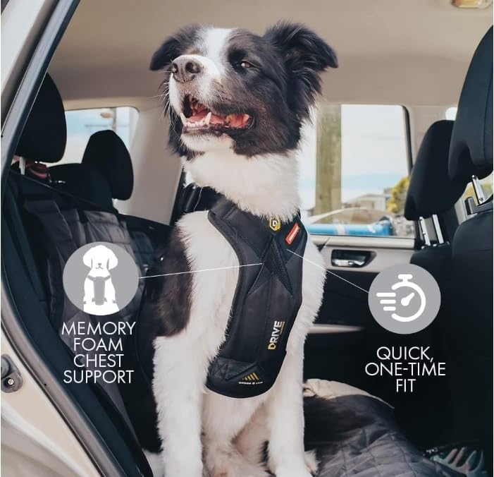 EzyDog Drive Dog Car Harness, Crash Tested and Certified - Medium