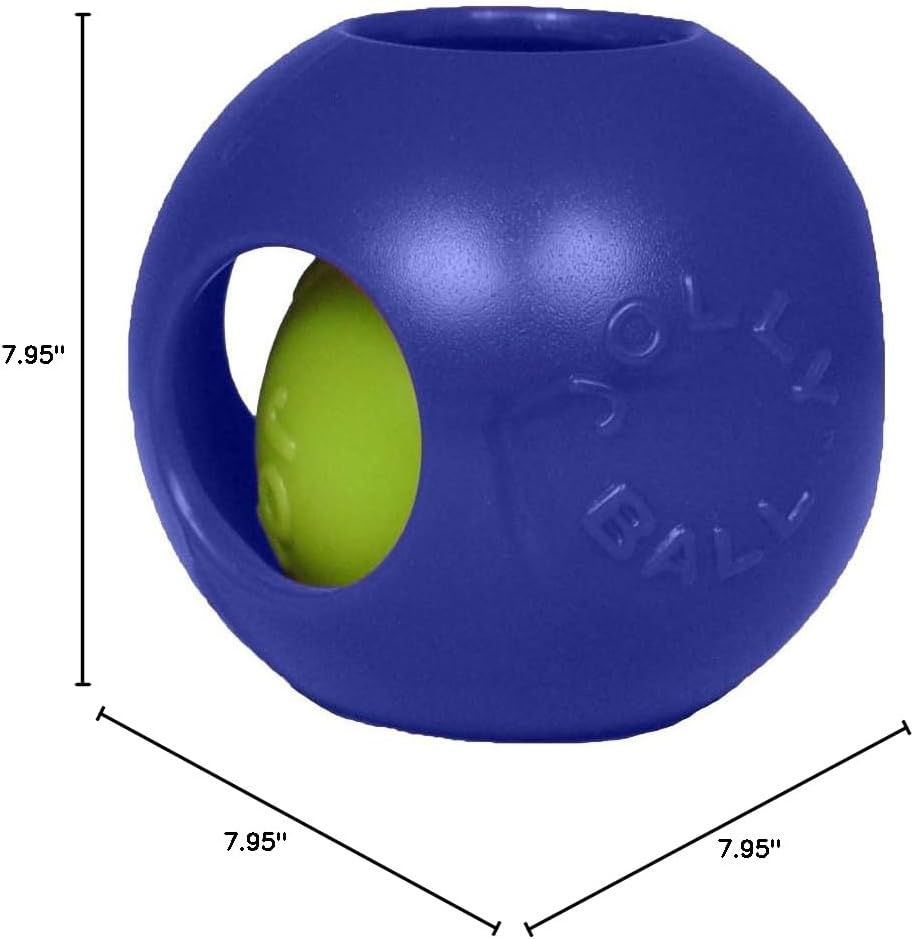 Jolly Pets Teaser Ball Interactive Dog Toy, 8 in Large