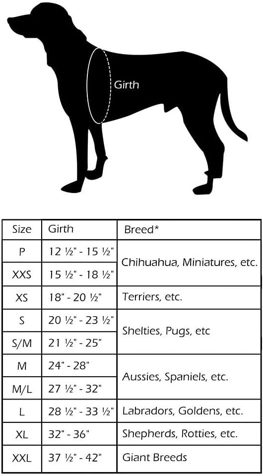 ComfortFlex No-Choke Non-Chafe Sport Dog Harness