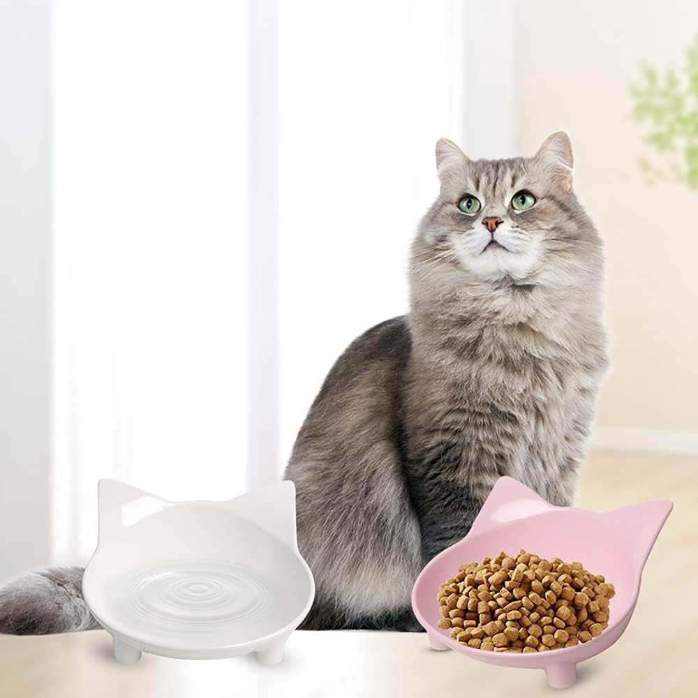 Skrtuan Non-Slip Cat & Dog Food Bowl – Wide