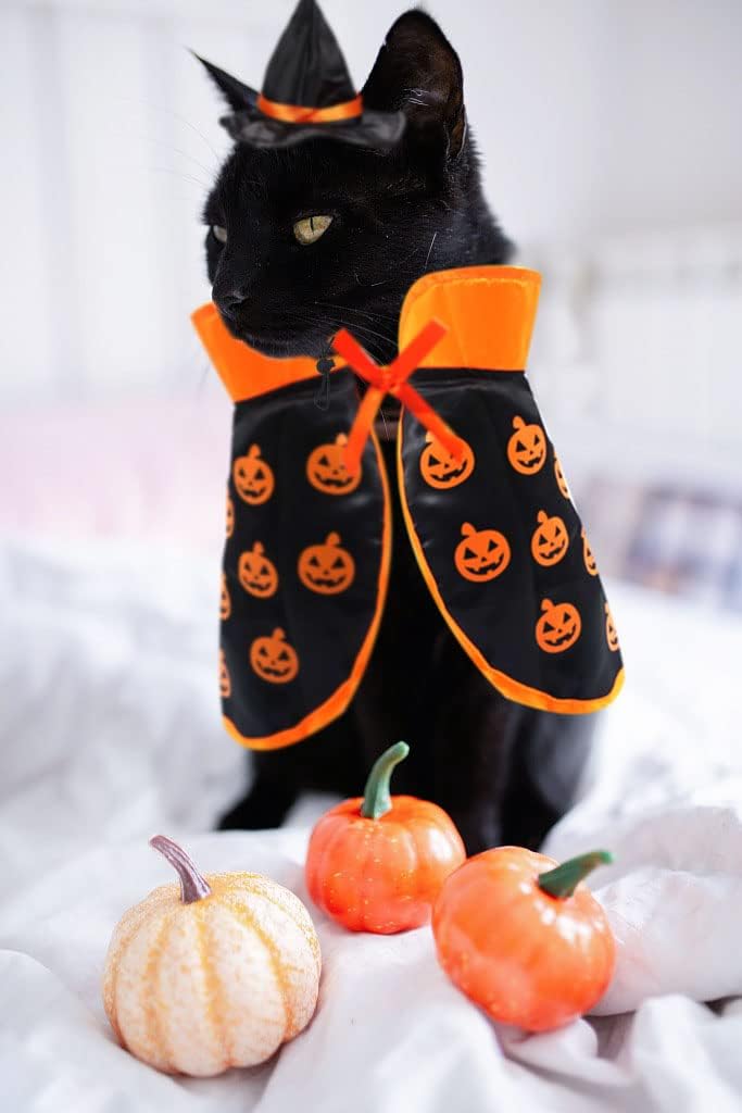 Halloween Cat Costume Cloak Witch Hat Pet Accessories Halloween