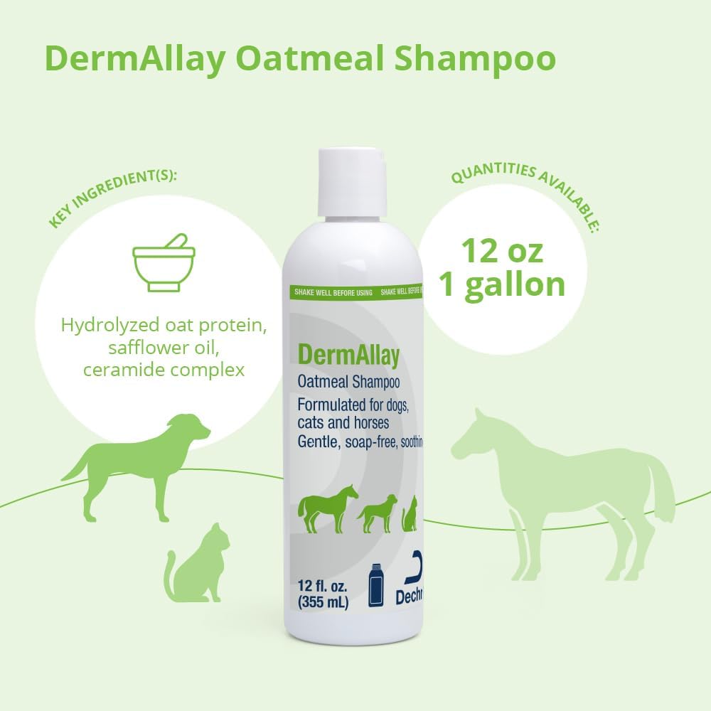DermAllay Oatmeal Shampoo, 12 Ounce