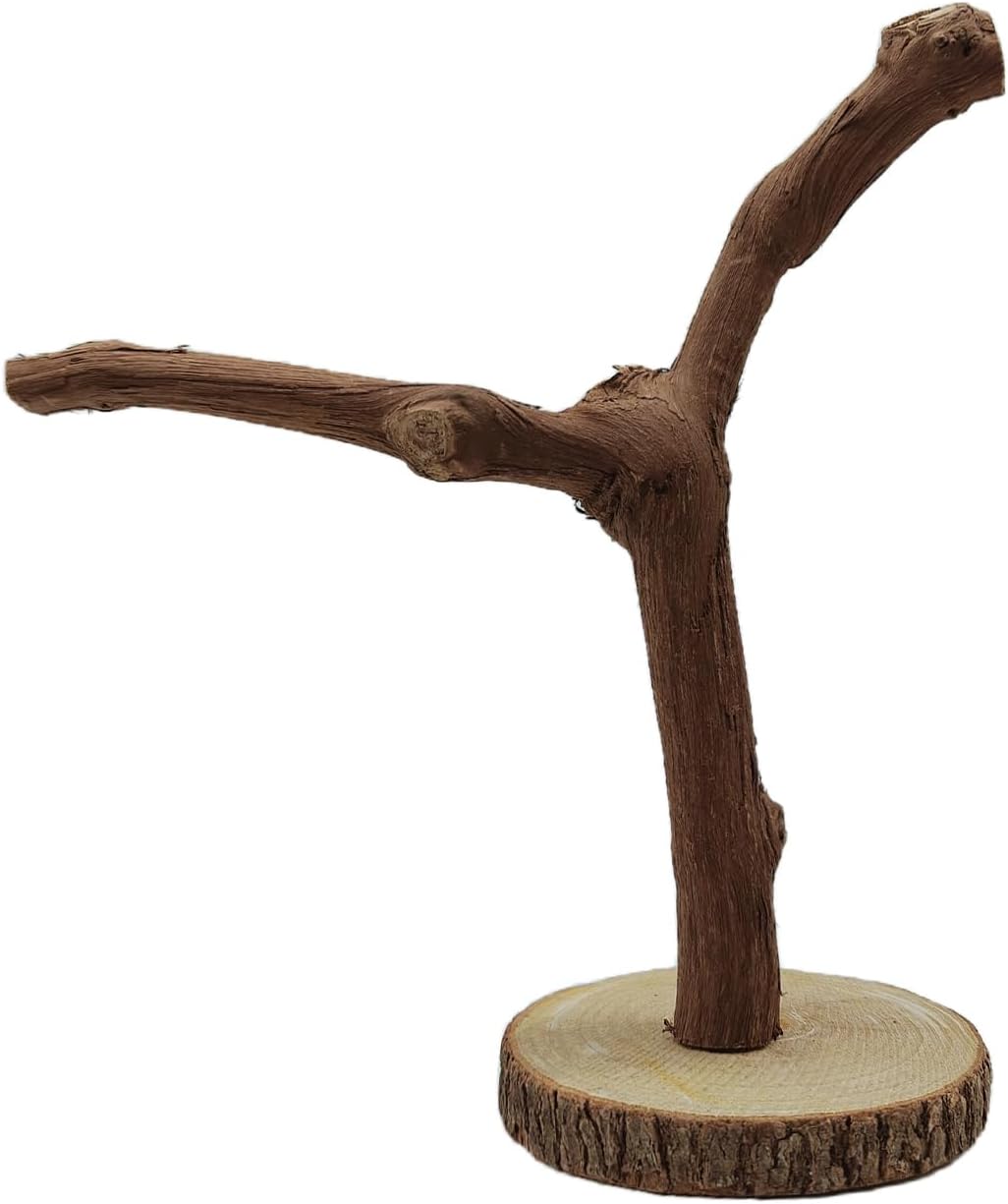 BNOSDM Reptile Grapevine Wood Lizard Natural Wood Climb Tree Branch