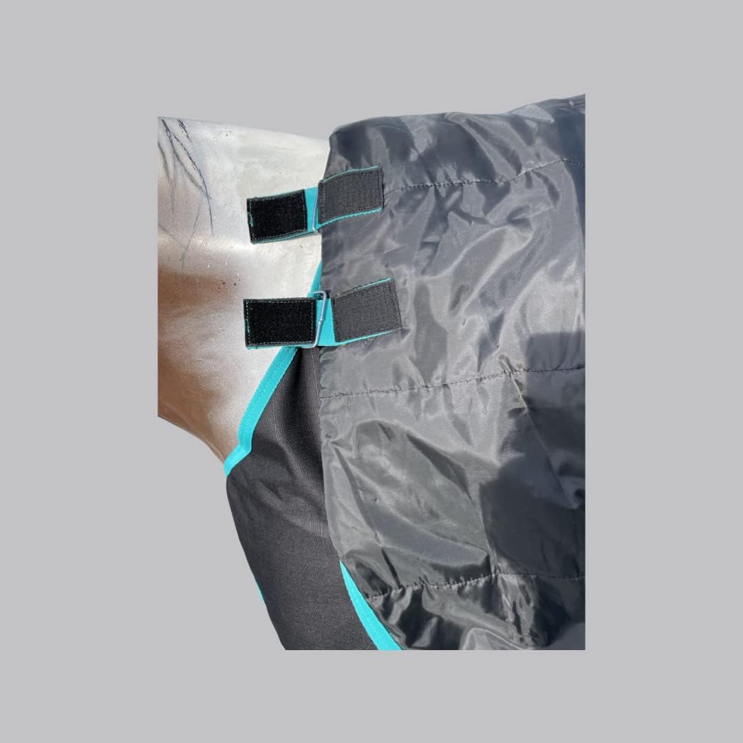 Horse RAIN Sheet with Neck Cover