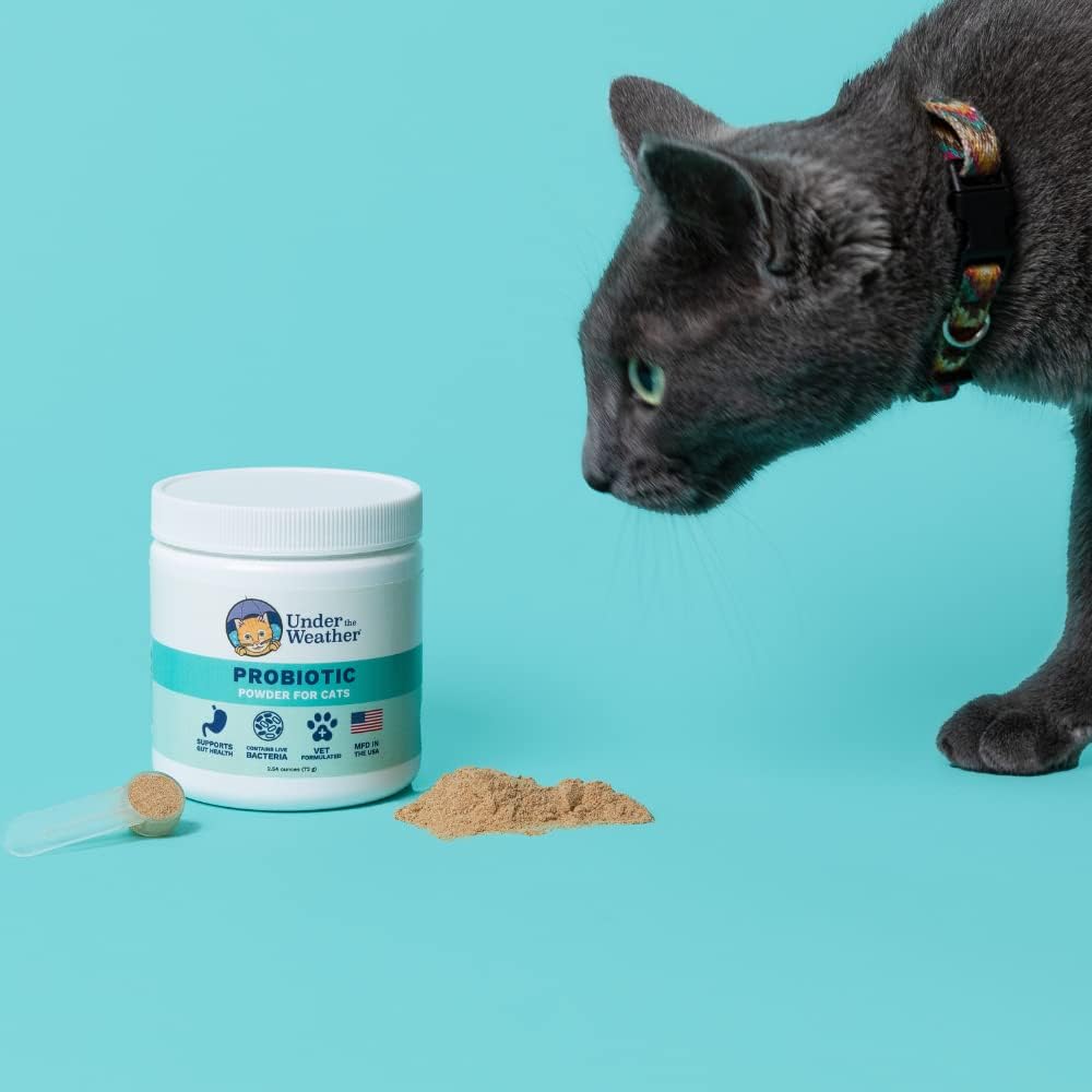 Under the Weather Pet Probiotics Powder for Cats