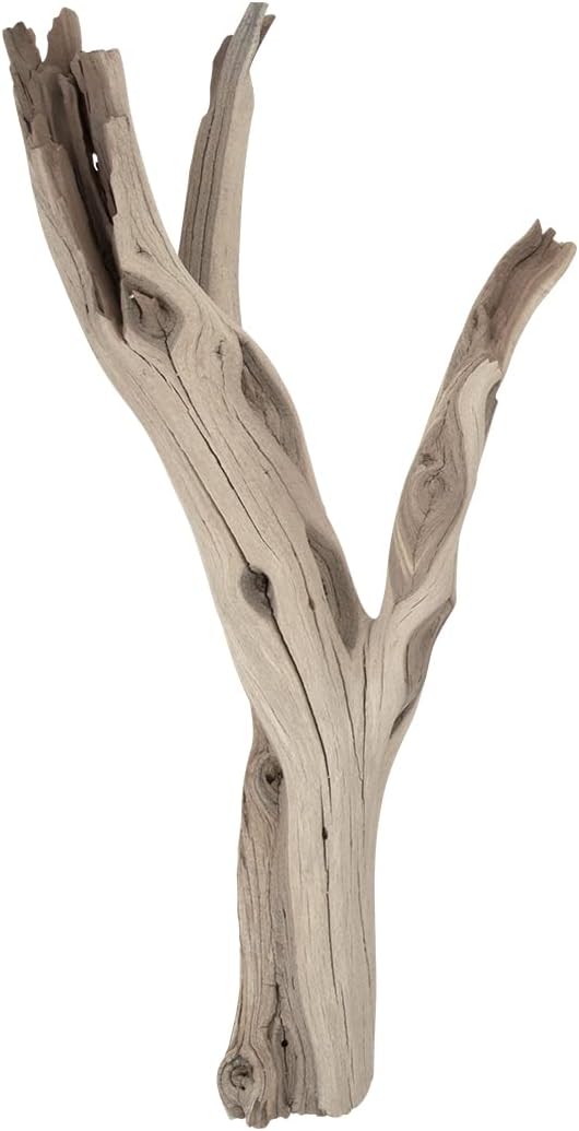 Koyal Wholesale 12” Driftwood Terrarium Decor