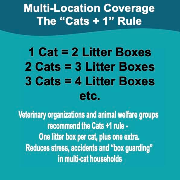 Disposable Cat Litter Box, 5-Pack – Extra Thick & Sturdy