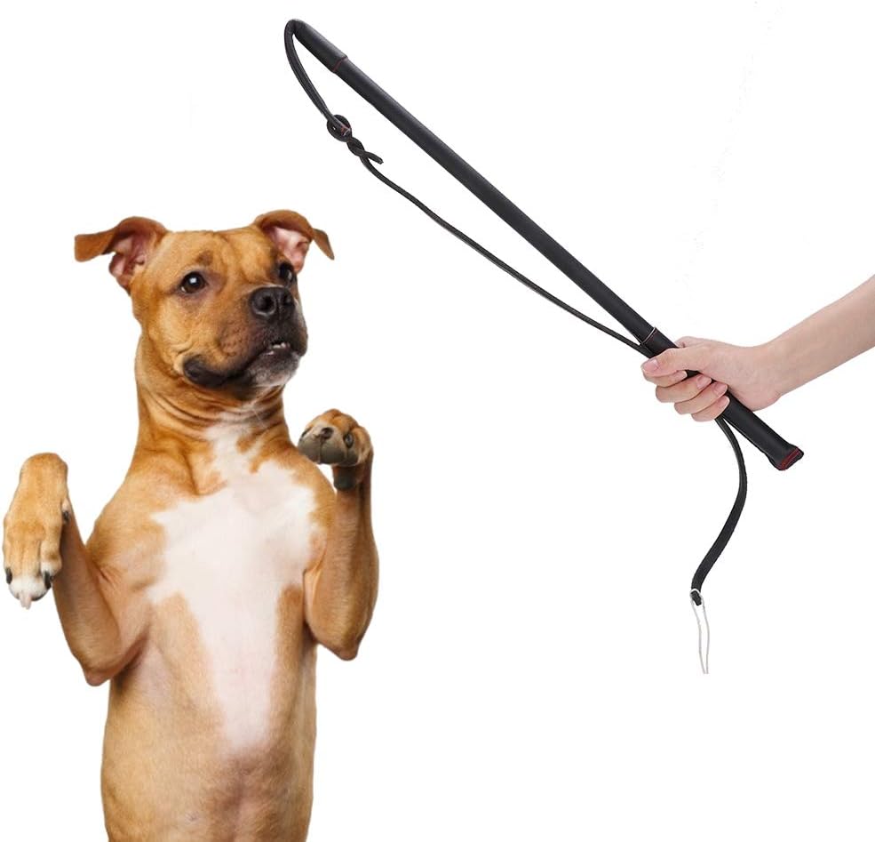 Dog Training Whip Handle Length 20.7in Dog Whip