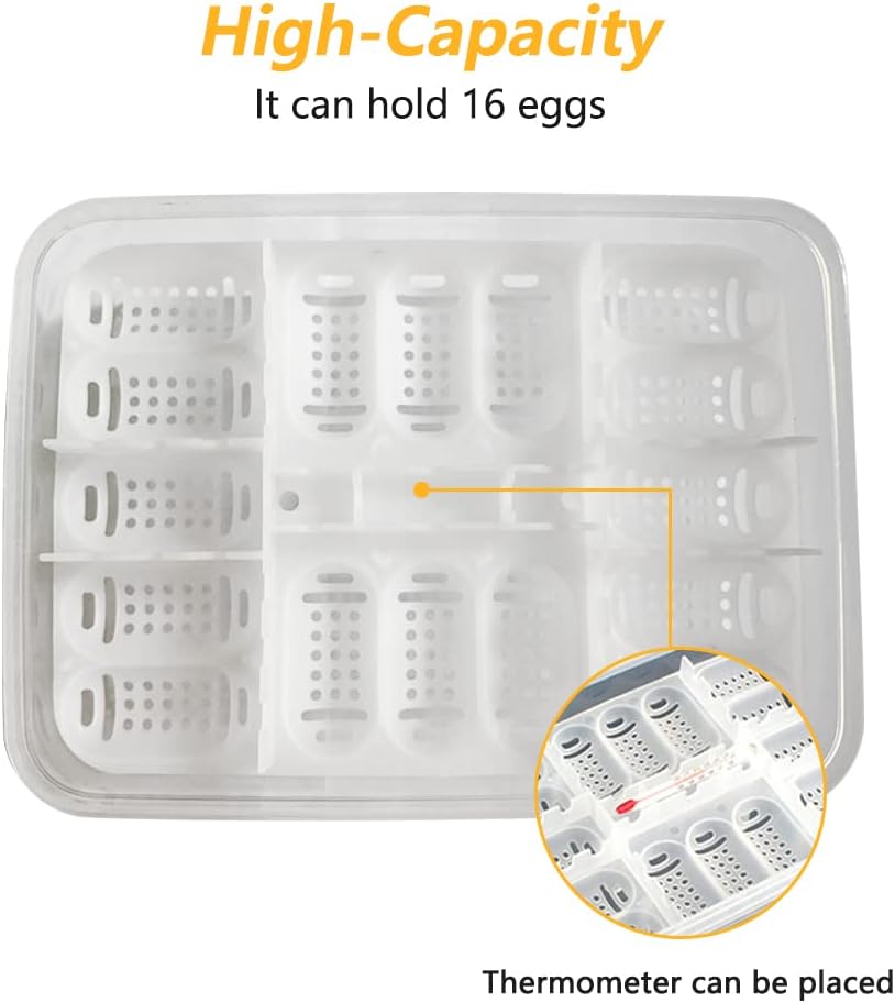 16-Grid Reptile Breeding Box