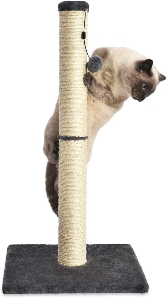 Cat Scratching Post for Indoor Cats & Kittens, Medium