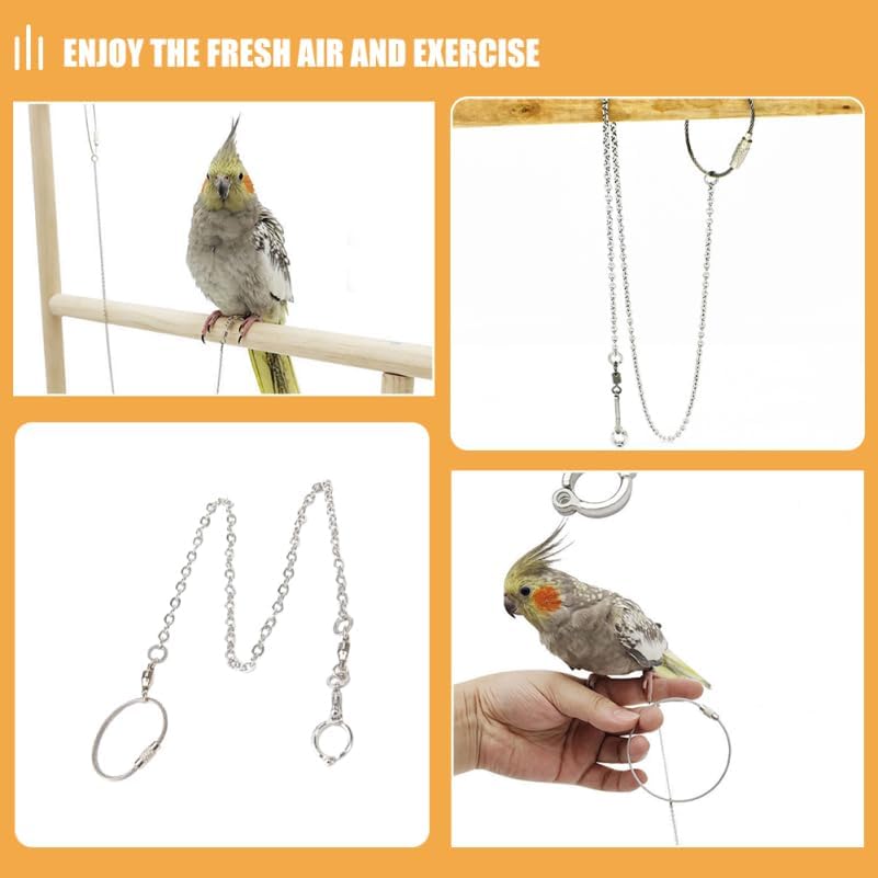 1Pc Bird Foot Chain Flying Stainless Steel Training Rope Outdoor