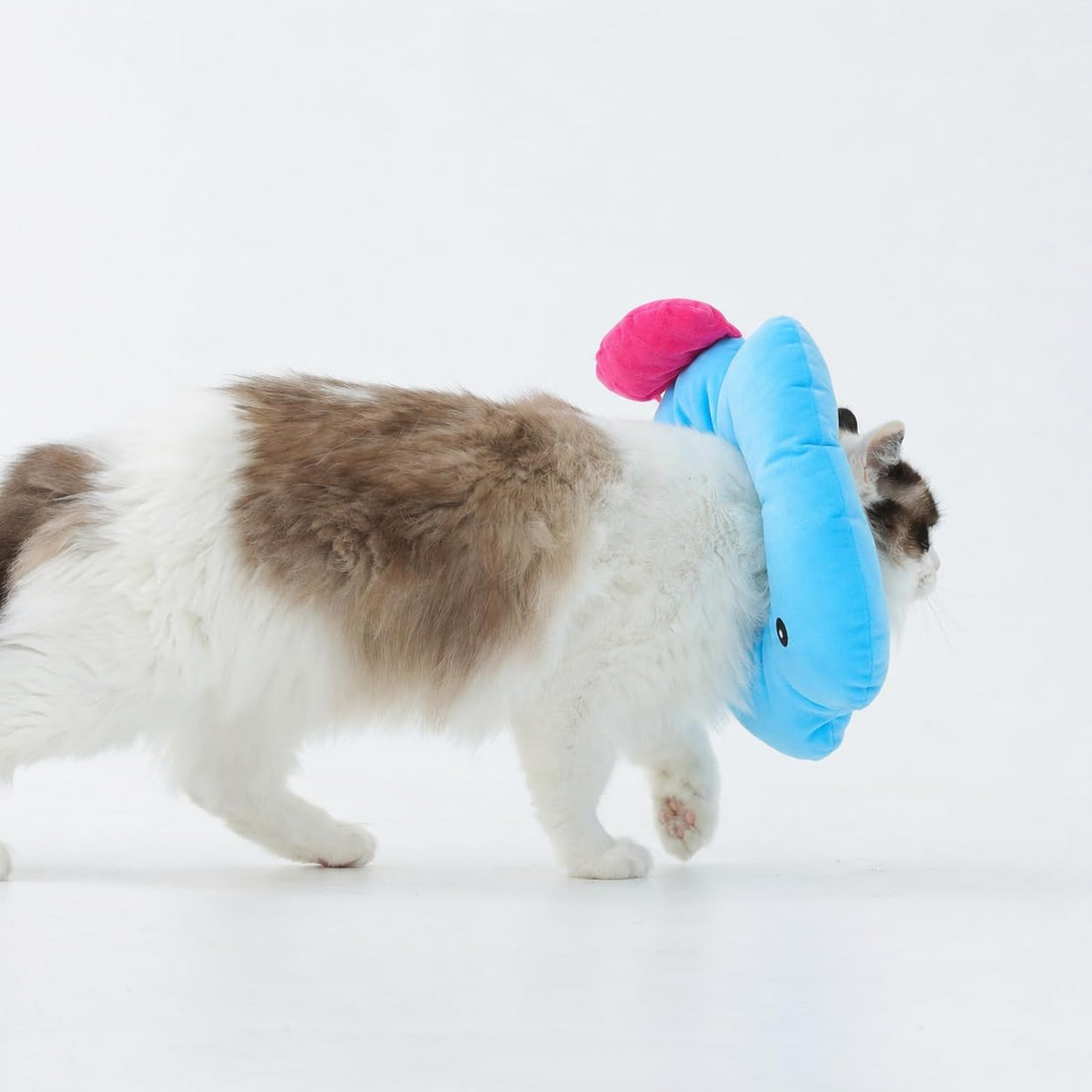 Cat Cone Collar, Adjustable Soft Recovery Collar After Surgery, Blue M