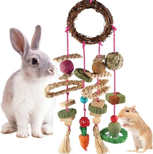 YIXUND Rabbit & Guinea Pig Toys