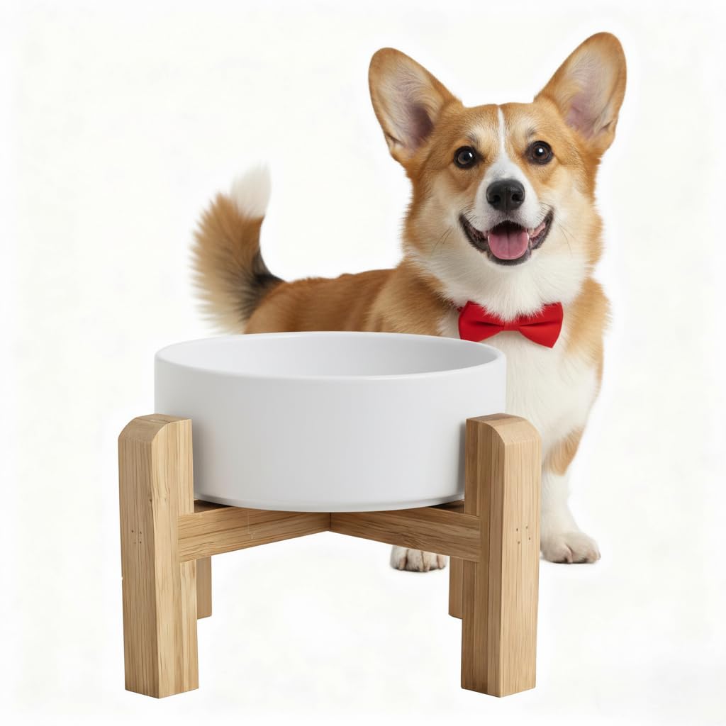 Elevated/Raised Ceramic Dog Bowl with Bamboo Stand，6 Inch 3.6 Cups
