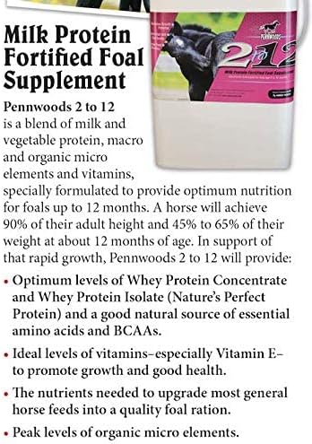 Pennwoods Foal Growth Supplement High Protein 2 to 12 Months, 11lb