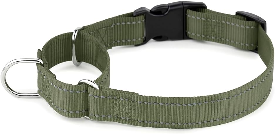 PLUTUS PET Reflective Martingale Collar with Quick Snap Buckle,No