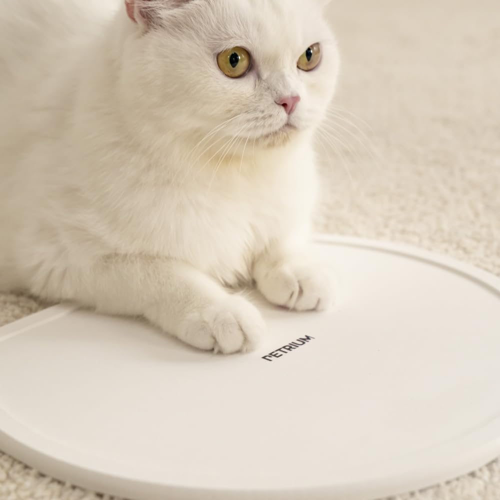 Stone Dry Mat for Pets, Absorbent Pet Feeding Mat for Food