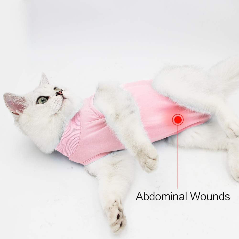 DOTON Cat Recovery Suit for Male and Female Surgical Post Surgery