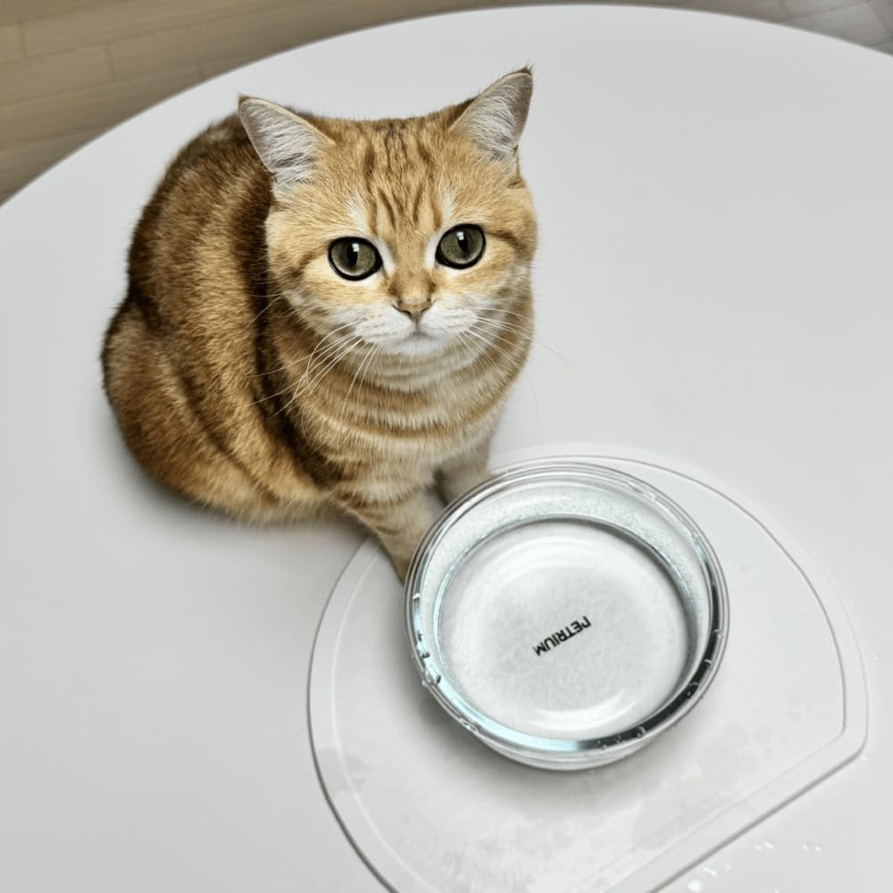 Stone Dry Mat for Pets, Absorbent Pet Feeding Mat for Food