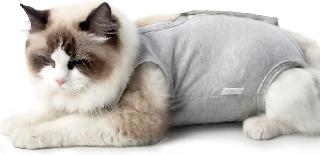 DOTON Cat Recovery Suit for Male and Female Surgical Post Surgery