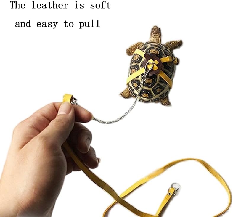 Tortoise Leash，Adjustable Control Rope Turtle Leash and Harness Pet