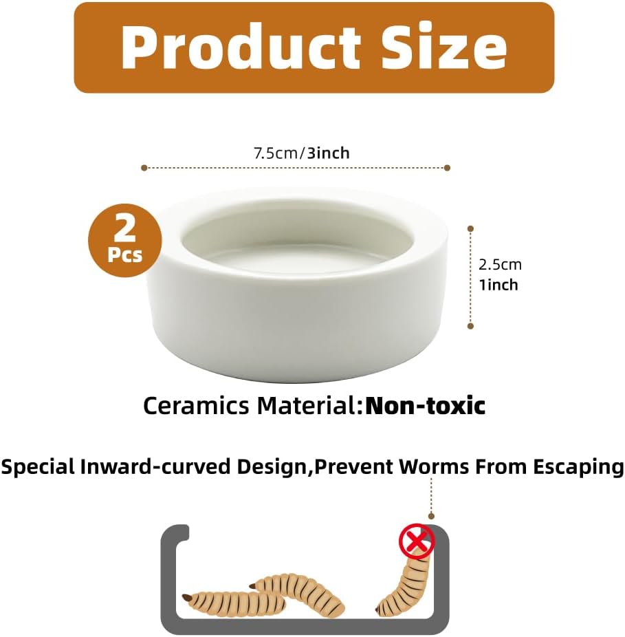 Escape-Proof Reptile Food Dish Bowl