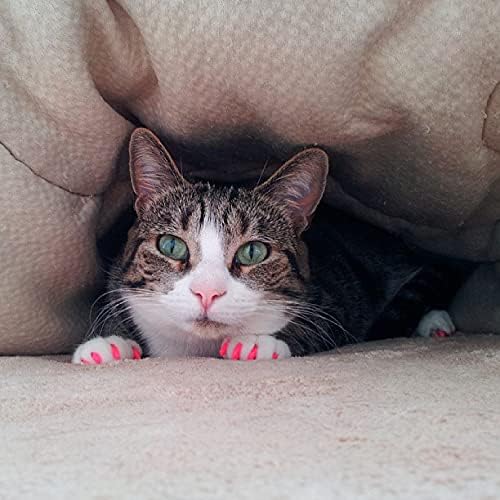 40 Pack Soft Nail Caps for Cat Claws Clear