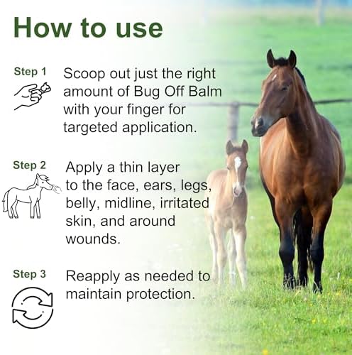 Horse Skin Summer Protection Bundle