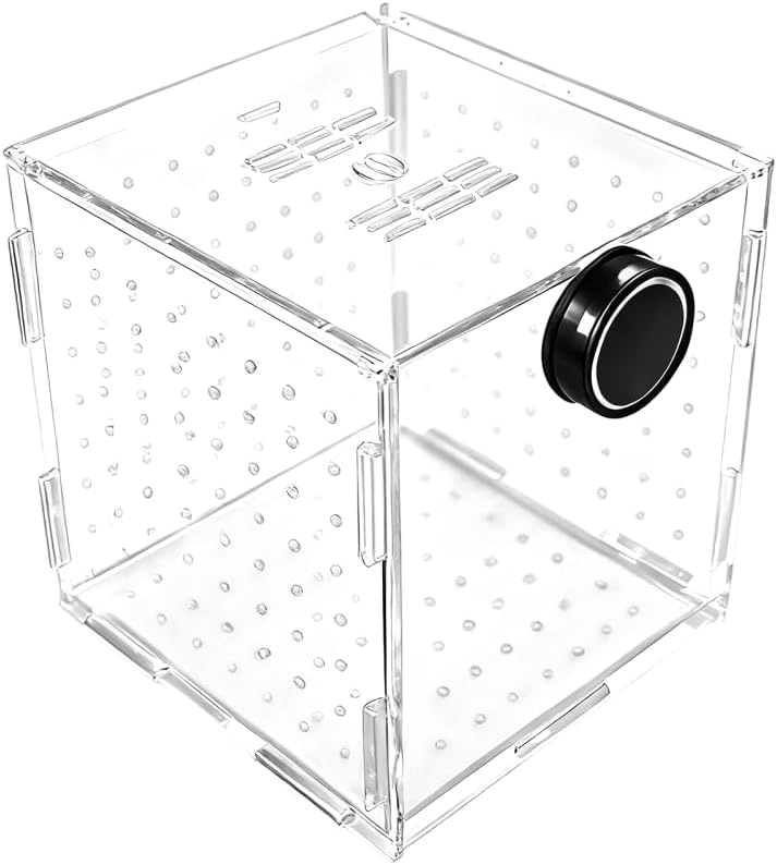 Fish Breeding Box, Acrylic Fish Isolation Container Aquariums