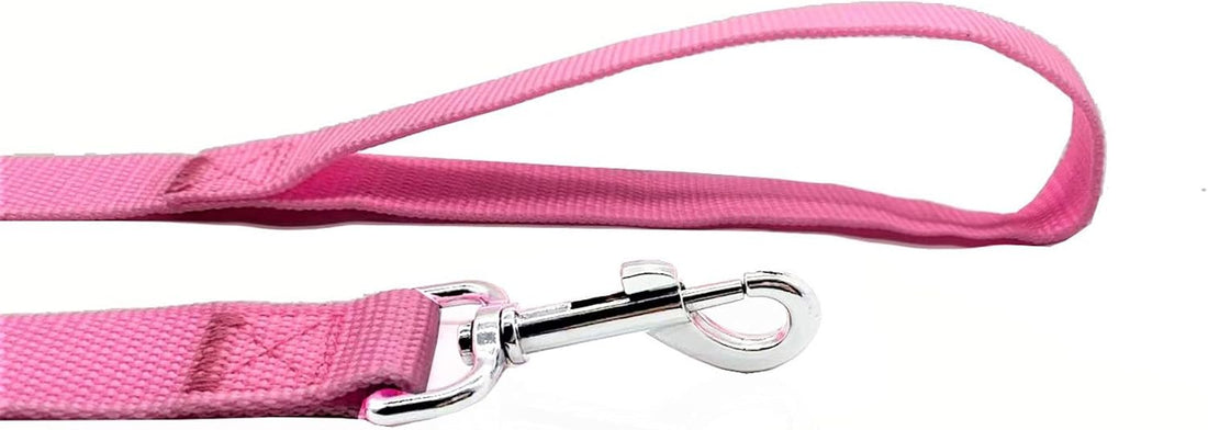 Nylon Dog Leash 8 Feet Long, Walking Training Dog Leashes for Medium