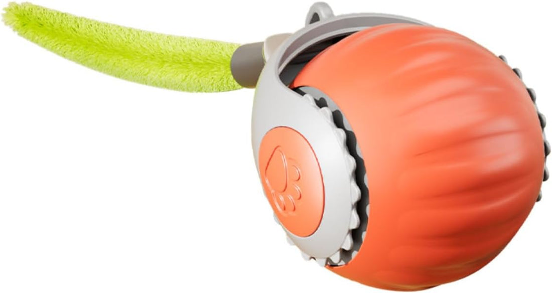 Interactive Cat Toy, 2-Speed Auto Ball, USB-C Rechargeable