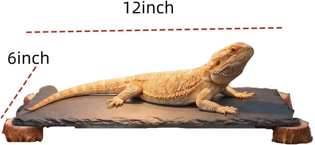 Bearded Dragon Basking Platform