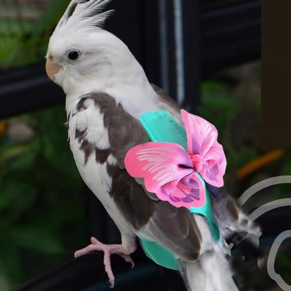 Parrot Diaper Harness with Leash Set for Small/Medium Bird (Size M)