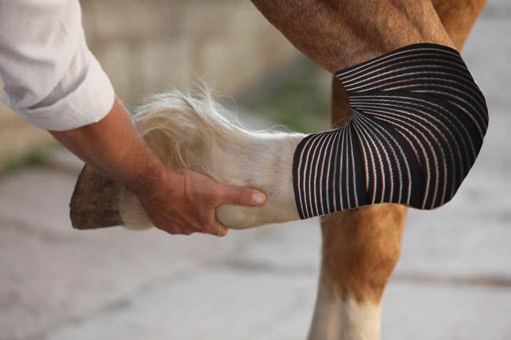 Elastic Compression Bandage Wrap for Horses