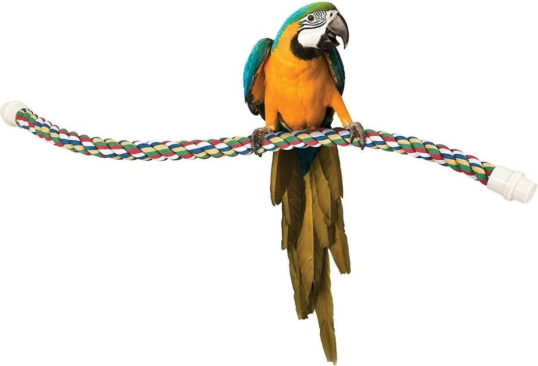 JW Pet Comfy Perch For Birds Flexible Multi-color Rope, Large