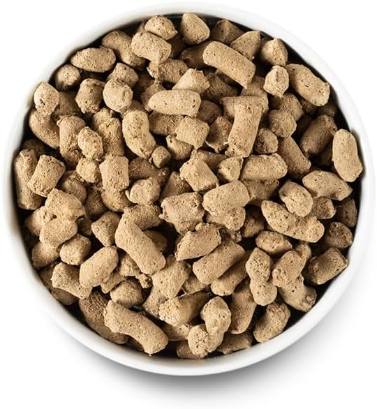 Open Farm Freeze Dried Raw Dog Food, Beef Bite-Sized Morsels