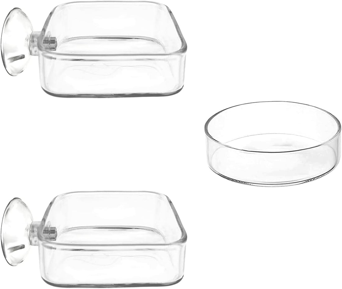 Aquarium Shrimp Feeder Dish Glass Fish Tank Feeding Bowls