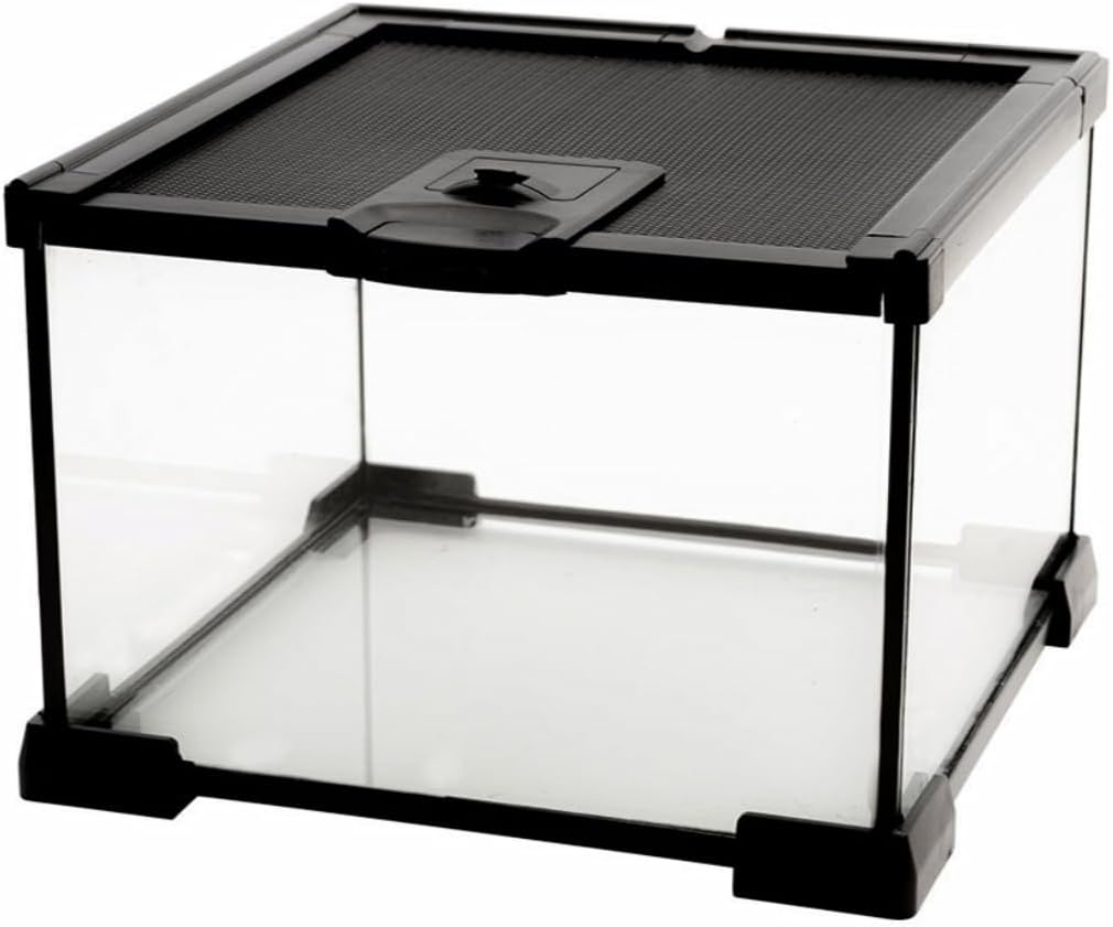 AWXZOM Mini Reptile Glass Terrarium Tank
