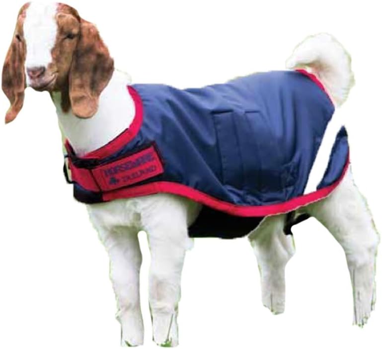 Horseware® Goat Rug - Excalibur/Silver & Strong Blue & Black, S