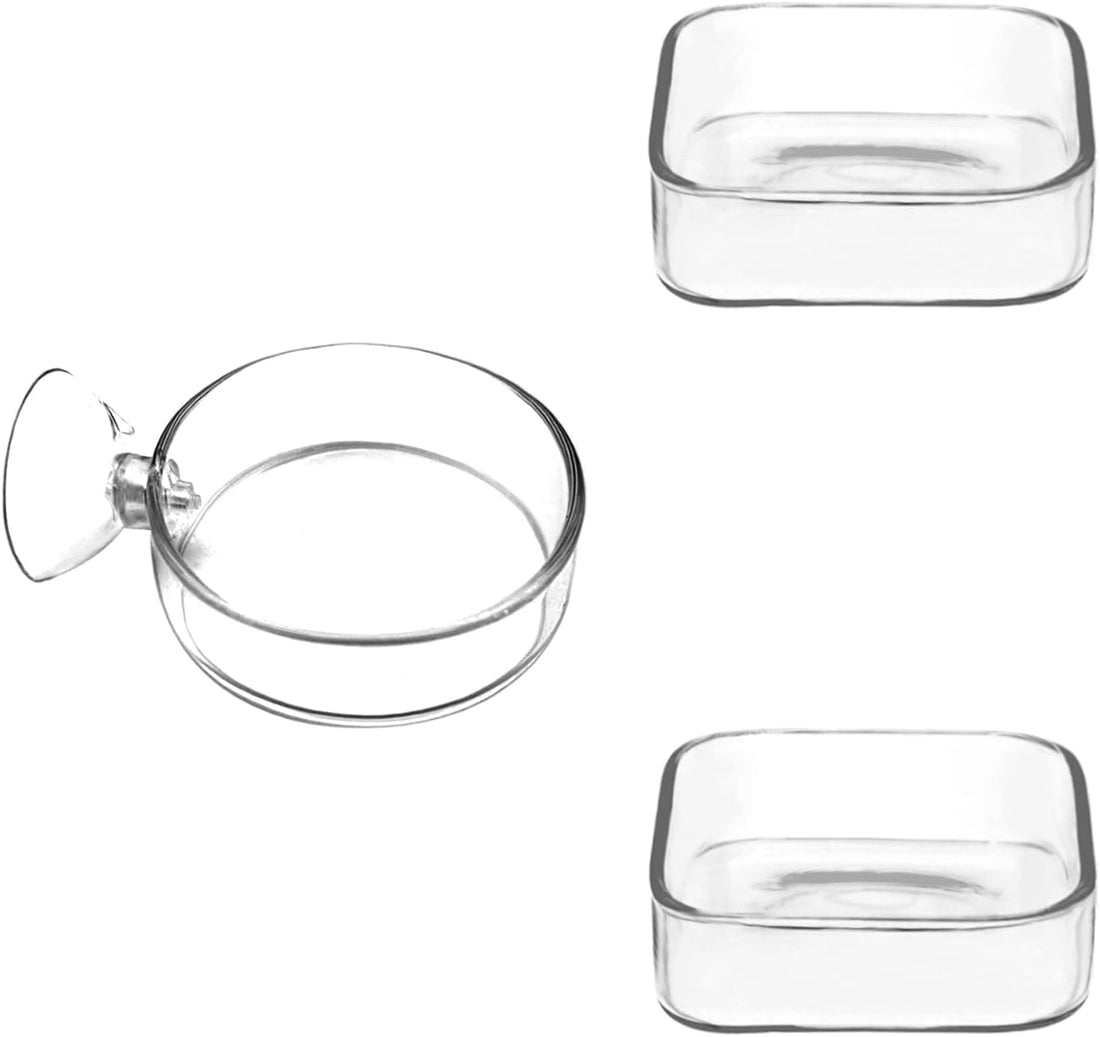 Aquarium Shrimp Feeder Dish Glass Fish Tank Feeding Bowls