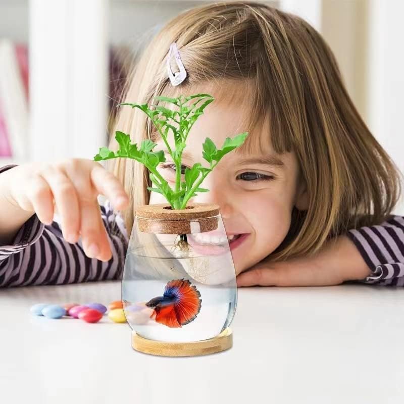 Desktop Fish Bowl Clear Glass Small Fish Tank with Wood Lid