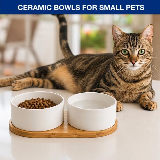 Ceramic Small Dog and Cat Bowls-Set of 2 Pet Dishes with Non-Slip