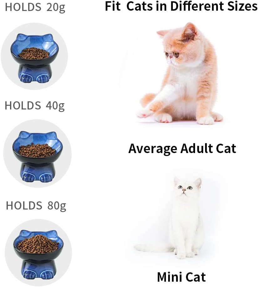 Nihow Slanted Elevated Cat Bowls